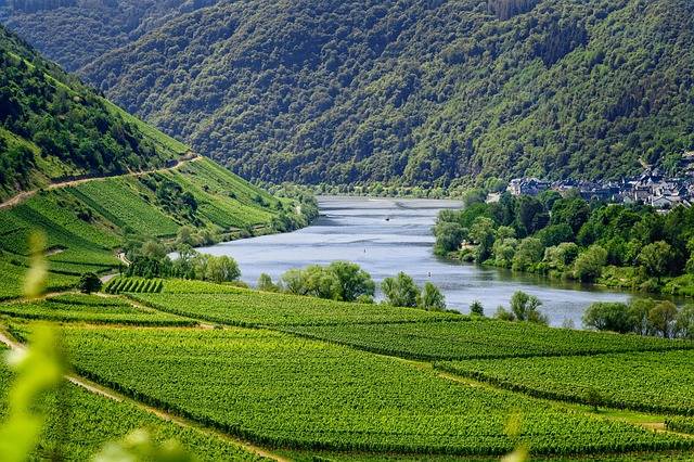 domaine viticole