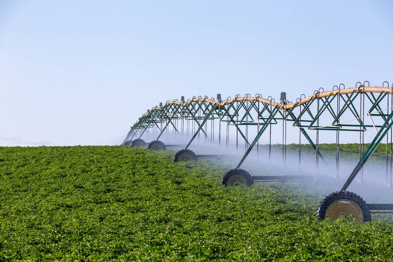 irrigation stockage d'eau