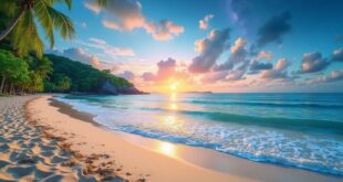 découvrez avalon pattaya en thaïlande grâce à notre guide complet pour voyageurs intrépides : conseils pratiques, activités incontournables et astuces pour explorer cette destination unique.