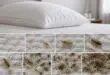 découvrez comment la durée de vie d'un pou sur votre oreiller peut influencera la propreté de votre literie et apprenez à garder un environnement sain et propre pour votre sommeil.