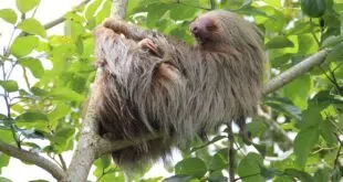 Costa Rica