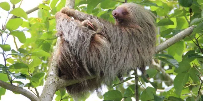 Costa Rica