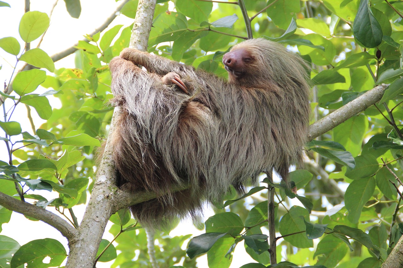 Costa Rica