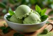 plongez dans les vertus santé de la glace au thé vert matcha häagen-dazs. savourez un délice crémeux tout en découvrant ses précieux antioxydants, bienfaits pour la digestion et effets relaxants. une gourmandise qui allie plaisir et bien-être.