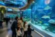 explorez les fascinantes créatures marines de l'aquarium à saint-étienne, une sortie idéale pour toute la famille alliant découverte et amusement.