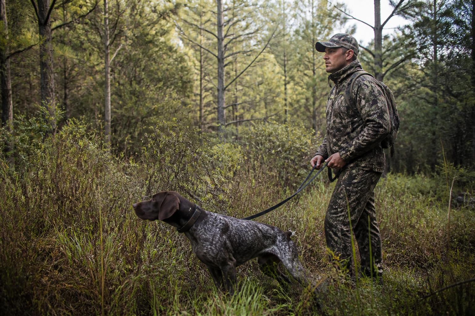 découvrez si le permis de chasse est obligatoire pour traquer avec un chien et faites la différence entre idées reçues et réalité légale.