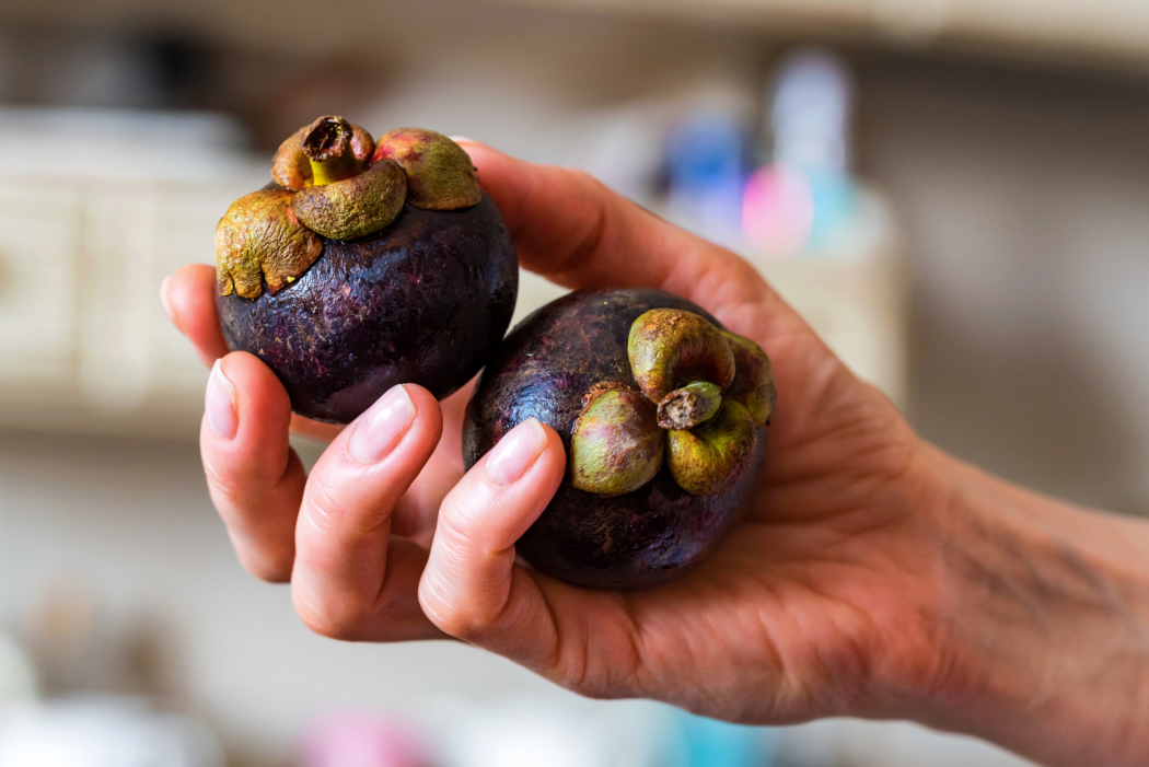 Garnicia : aide minceur naturel
