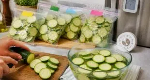 découvrez nos astuces infaillibles pour réussir la congélation des courgettes et conserver toute leur saveur et fraîcheur toute l'année.