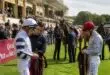 découvrez comment bien préparer les courses précédant les prix de diane et maximiser vos chances pour le grand jour grâce à nos conseils et analyses détaillées.