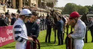 découvrez comment bien préparer les courses précédant les prix de diane et maximiser vos chances pour le grand jour grâce à nos conseils et analyses détaillées.