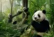 découvrez les documentaires captivants sur les pandas et plongez au cœur de leur univers fascinant, entre nature, comportement et conservation.