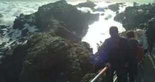 découvrez les erreurs fréquentes à éviter lors de l'ouverture d'un compte professionnel pour votre micro-entreprise et assurez une gestion financière efficace dès le départ.