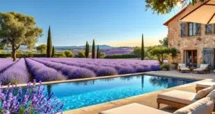 découvrez les astuces incontournables pour trouver les meilleures locations de vacances en provence. profitez pleinement de votre séjour grâce à nos conseils exclusifs.