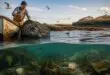 découvrez comment la pêche du crabe bleu en bretagne influence l'équilibre de l'écosystème local et les enjeux environnementaux associés.