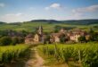 découvrez l'informateur de bourgogne, votre guide ultime pour explorer la richesse culturelle, les paysages magnifiques et les trésors cachés de la région bourgogne.