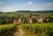découvrez l'informateur de bourgogne, votre guide ultime pour explorer la richesse culturelle, les paysages magnifiques et les trésors cachés de la région bourgogne.