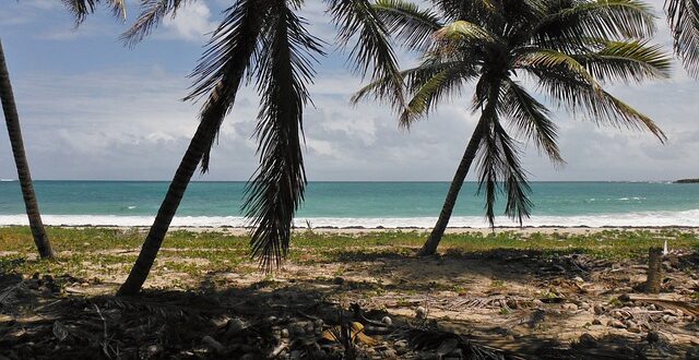 Location voiture en Martinique pas cher