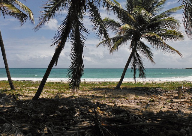 Location voiture en Martinique pas cher
