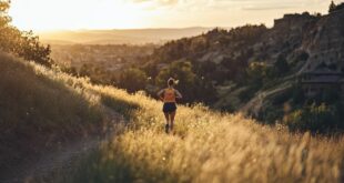 Mesurez votre progrès : suivez le temps moyen du semi-marathon à l'entraînement