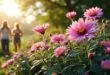 découvrez les caractéristiques des fleurs dont le nom commence par la lettre x : origines, particularités, conseils et curiosités sur ces fleurs rares et étonnantes.