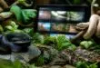 découvrez une sélection captivante de documentaires en streaming sur les serpents, leur habitat, leur comportement et leurs mystères fascinants.