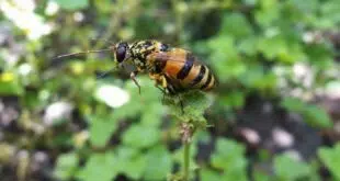 découvrez les erreurs à éviter lors du transfert d’un ancien plan épargne retraite pour sécuriser votre épargne et optimiser votre retraite.