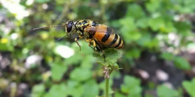 découvrez les erreurs à éviter lors du transfert d’un ancien plan épargne retraite pour sécuriser votre épargne et optimiser votre retraite.