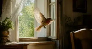 découvrez la signification et les interprétations mystérieuses lorsqu'un oiseau entre dans votre maison, un phénomène porteur de messages symboliques et spirituels.