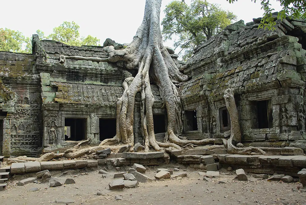 activités cambodge