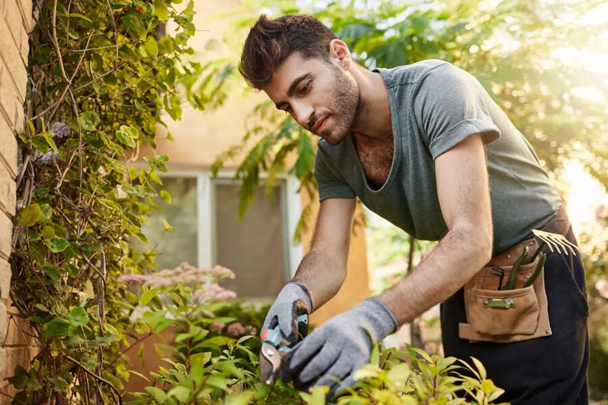 aménager petit jardin