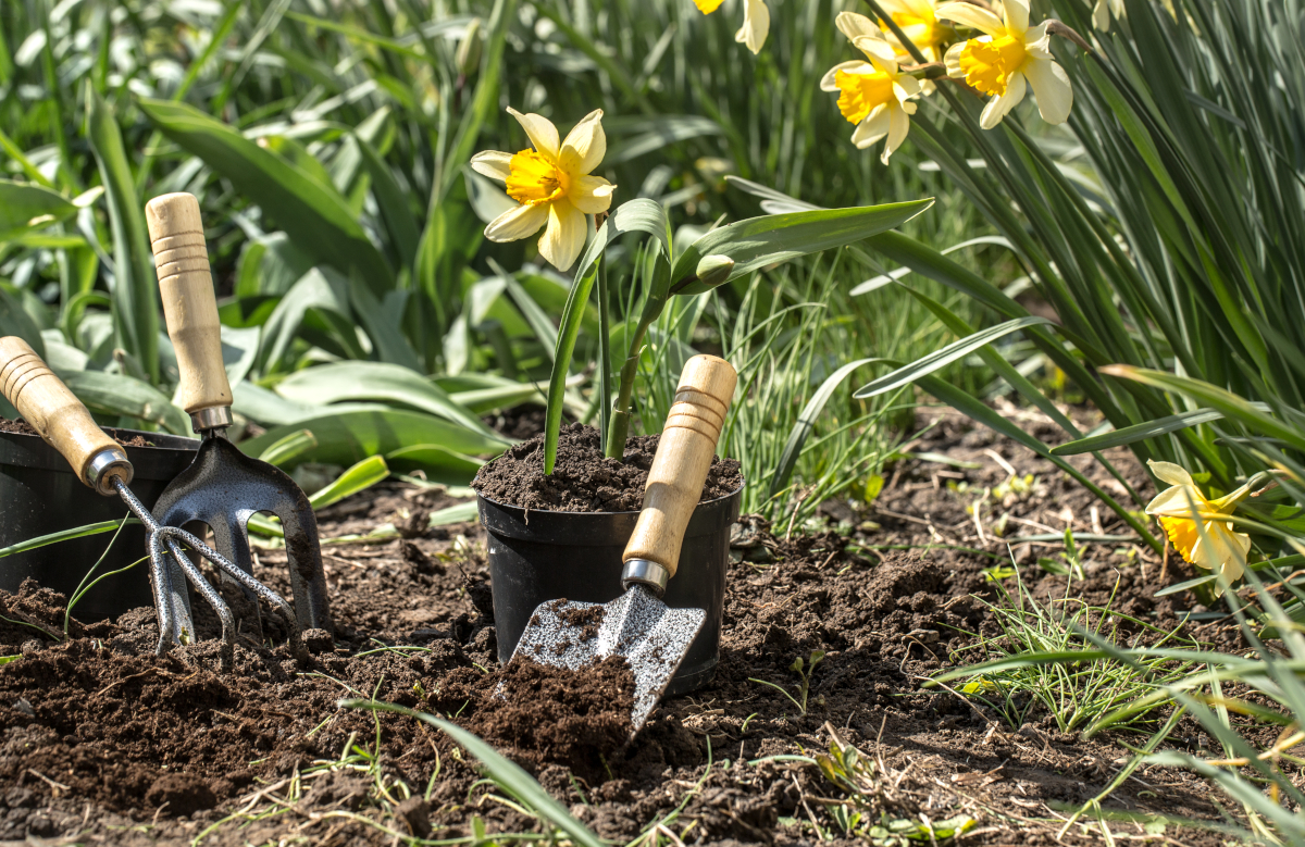 ami biodiversité