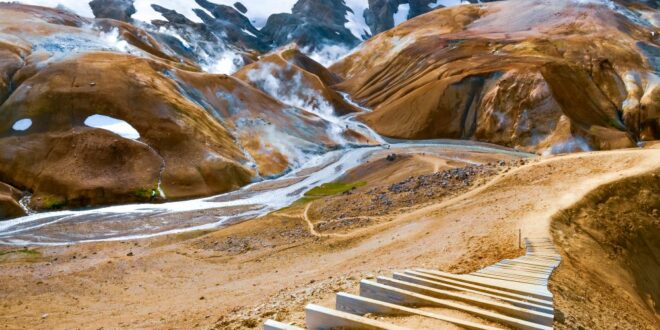 animaux Islande