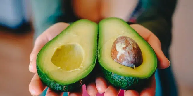 avocat