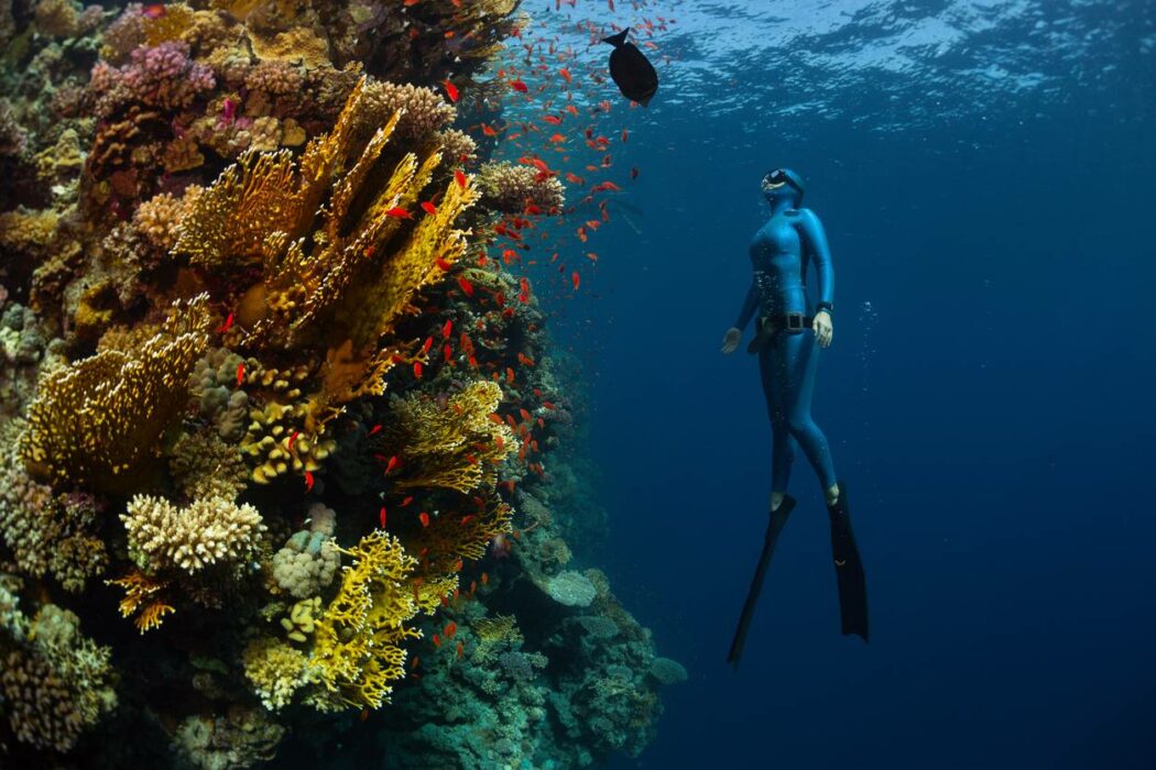 activité sensations baptême plongée sous-marine