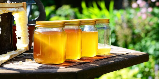 bocaux confiture
