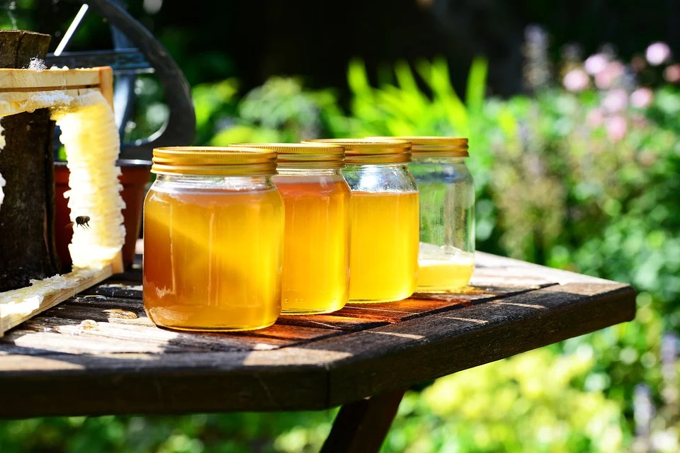 bocaux confiture