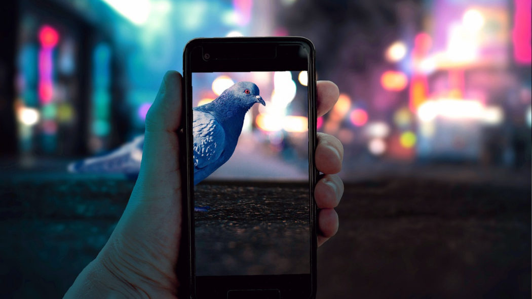 site de rencontre smartphone
