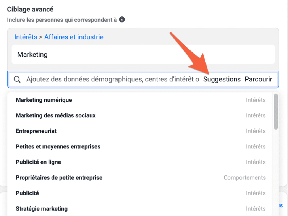ciblage d'intérêts sur Facebook