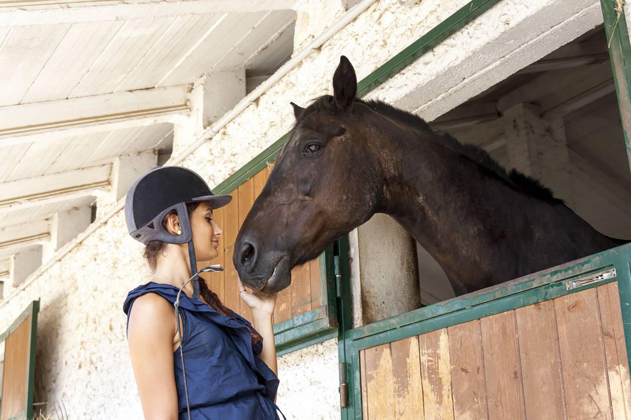 équipement équestre, tenture de box personnalisée, cheval