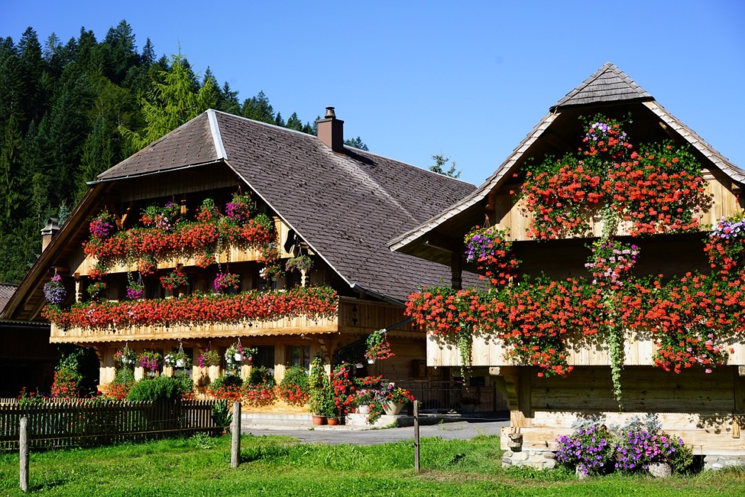 construction de bardage et terrasse