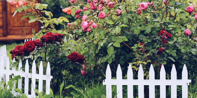 couleur du jardin