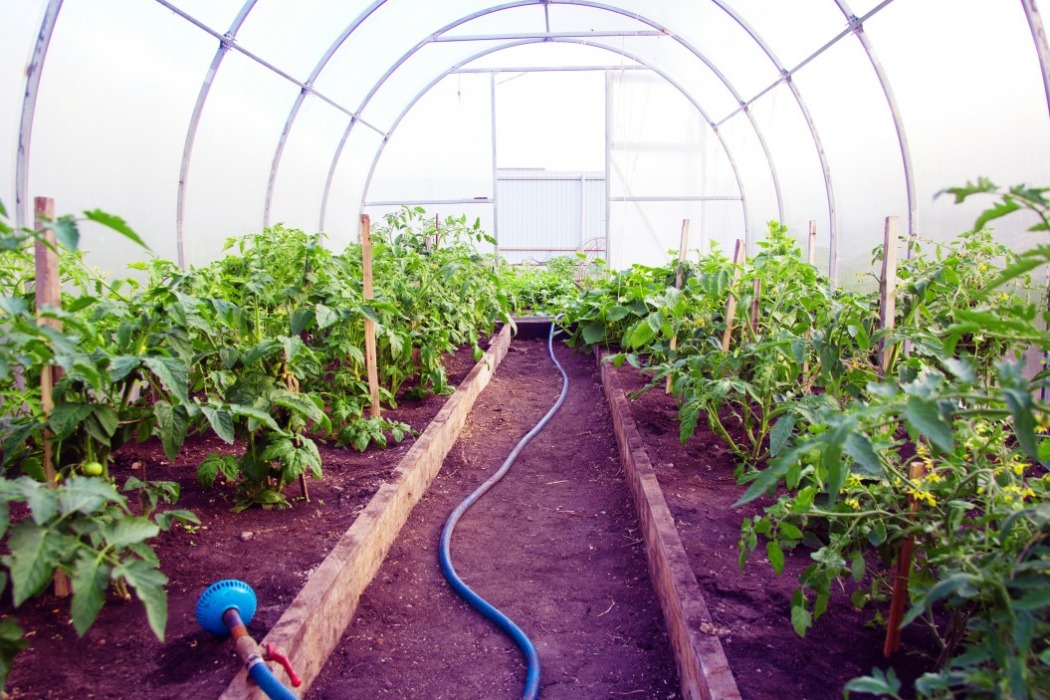 créer le beau potager