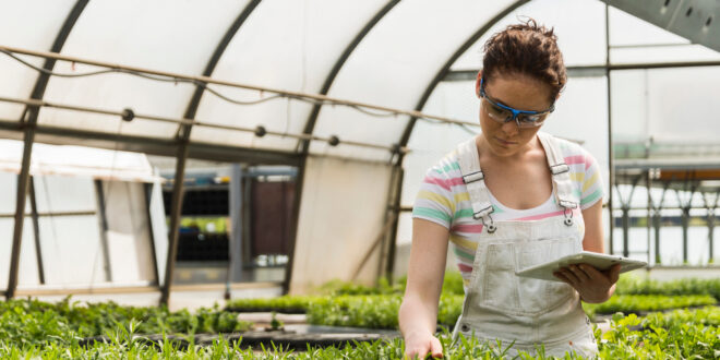 culture greenhouse