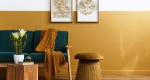 décoration intérieure
