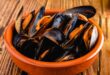 saison des moules en Normandie