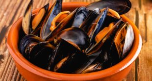 saison des moules en Normandie