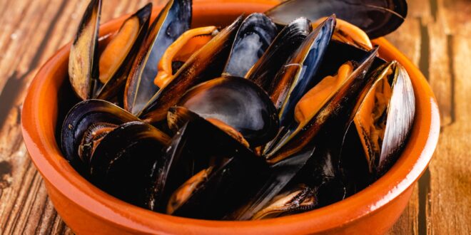 saison des moules en Normandie
