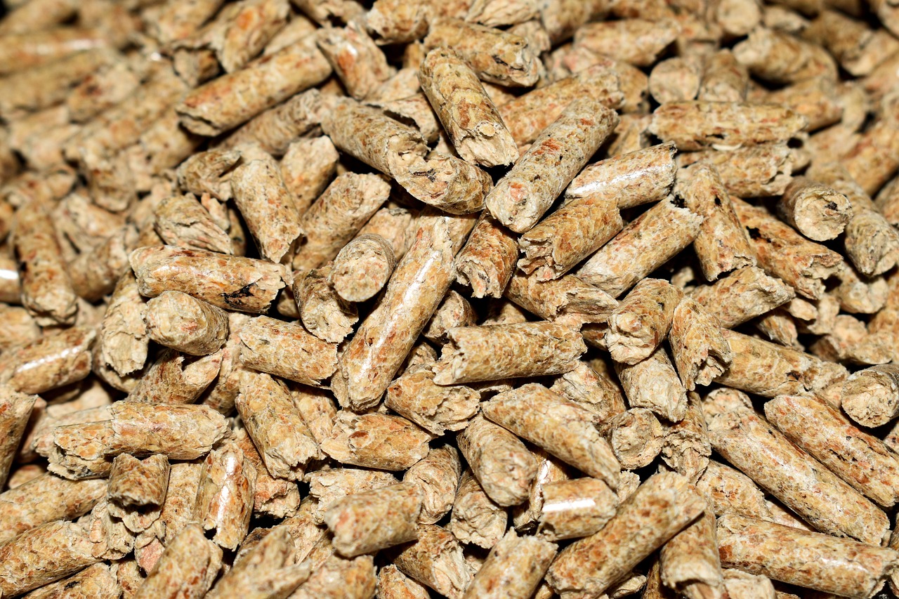 granulés de bois