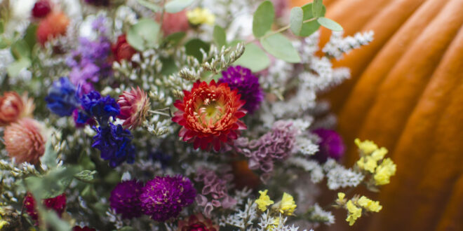 fleurs séchées