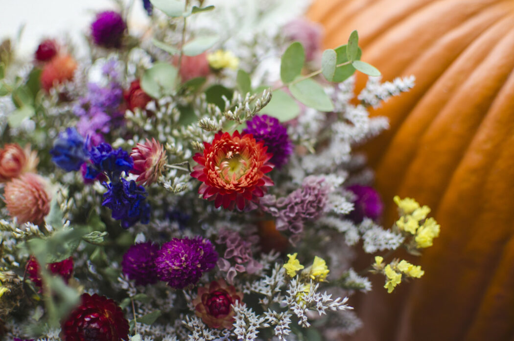 fleurs séchées